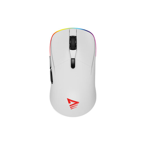 Περισσότερες πληροφορίες για "Savio RIFT WHITE gaming mouse RGB Dual Mode (Μαύρο)"