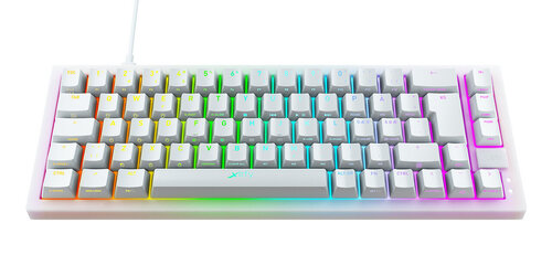 Περισσότερες πληροφορίες για "CHERRY XTRFY K5 COMPACT RGB (Μαύρο, Άσπρο/USB/RGB LED)"