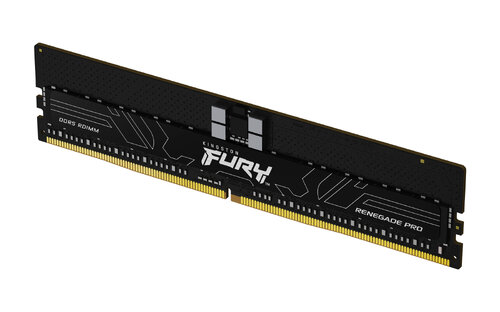 Περισσότερες πληροφορίες για "Kingston Technology FURY Renegade Pro (32 GB/DDR5/5600MHz)"