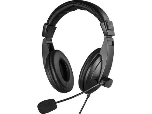 Περισσότερες πληροφορίες για "Sandberg Saver MiniJack Headset Large (Μαύρο/Ενσύρματα)"