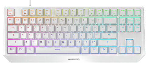 Περισσότερες πληροφορίες για "CHERRY MX Board 1.0 TKL RGB (Άσπρο/USB/RGB LED)"