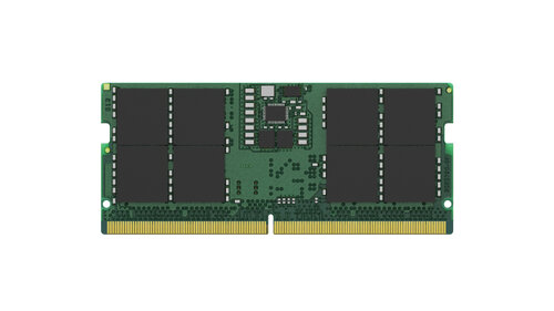 Περισσότερες πληροφορίες για "Kingston Technology KVR56S46BS8-16BK (16 GB/DDR5)"