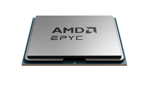 Περισσότερες πληροφορίες για "AMD EPYC 9555 (Tray)"