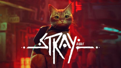 Περισσότερες πληροφορίες για "Stray (Nintendo Switch)"