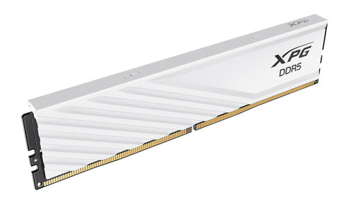 Περισσότερες πληροφορίες για "ADATA AX5U5600C468G-SLABWH (8 GB/DDR5/5600MHz)"