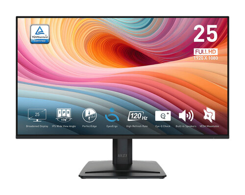 Περισσότερες πληροφορίες για "MSI PRO MP251 E2 (24.5"/Full HD)"