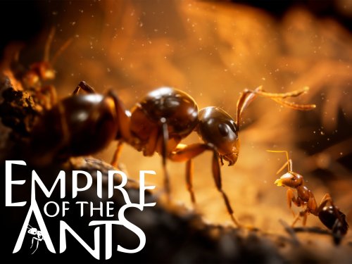 Περισσότερες πληροφορίες για "Empire Of The Ants"