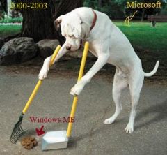 WindowsME.jpg