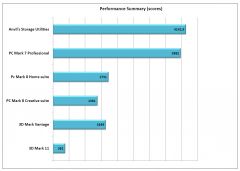 performance summary full size