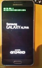 Samsung Galaxy Alpha  (6)
