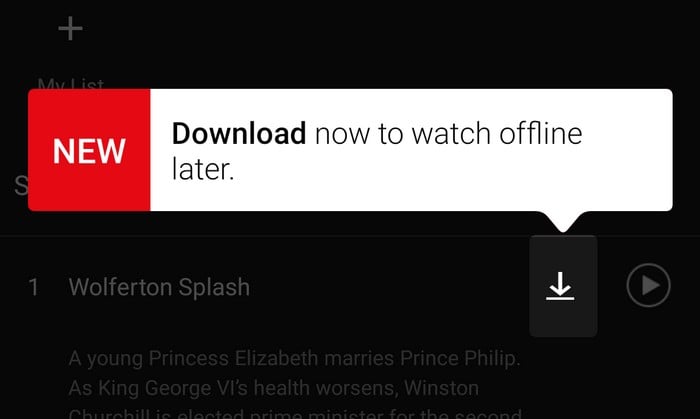 Offline αναπαραγωγή προγραμμάτων από το Netflix αν και σε περιορισμένο περιεχόμενο