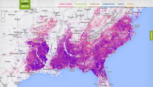 Nέος χάρτης με τη βοήθεια της Google θα παρακολουθεί τα δάση σε πραγματικό χρόνο