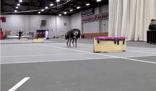 Το ρομπότ Cheetah 2 του MIT μπορεί πια να πηδάει εμπόδια