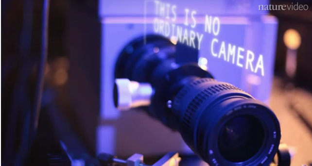 Φωτογραφική μηχανή για λήψεις γύρω από γωνίες από το MIT