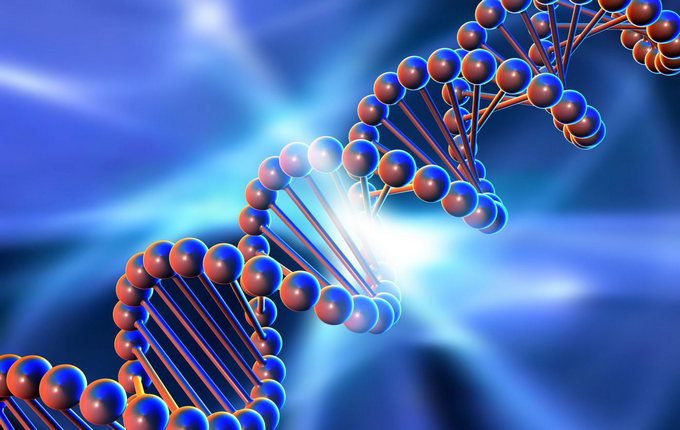 Επιστήμονες θέλουν να τελειοποιήσουν τον άνθρωπο χρησιμοποιώντας συνθετικό DNA