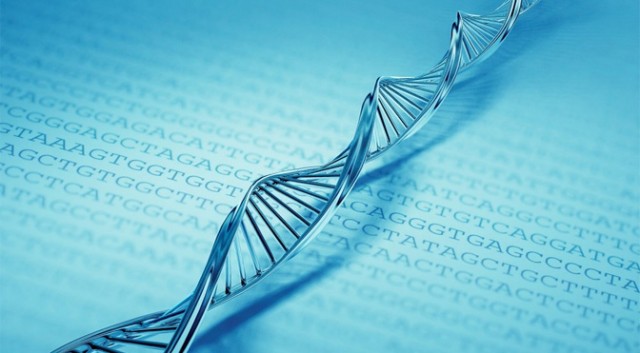 Επιστήμονες αποθηκεύουν 700 terabytes δεδομένων σε ένα γραμμάριο DNA