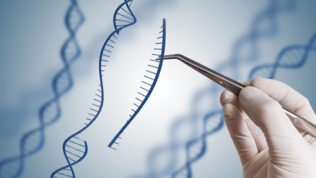 Επιτυχημένη «στοχευμένη» καταστροφή καρκινικών όγκων με νανορομπότ από DNA