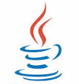 The Developer