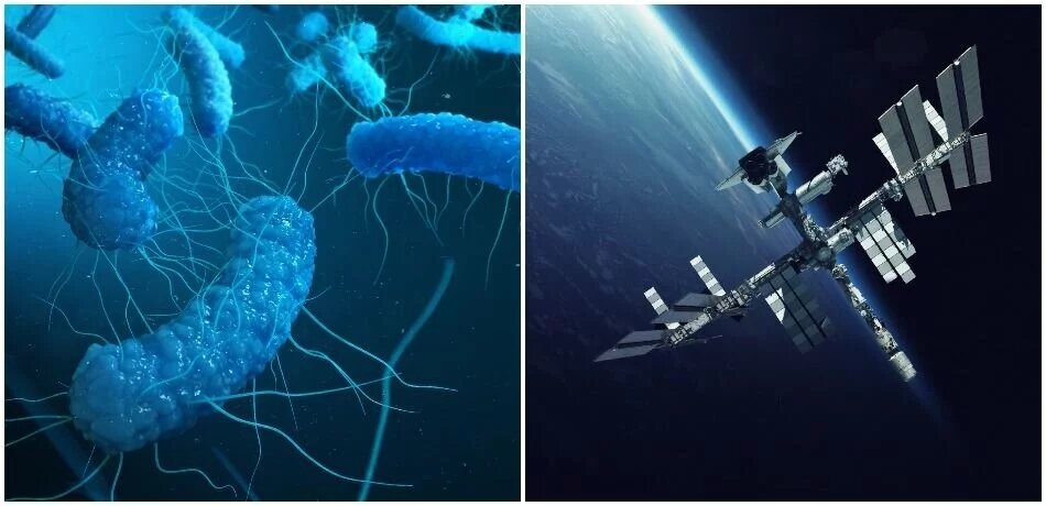 Ο ISS έχει "γεμίσει" με παθογόνους μικροοργανισμούς