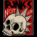 the_punk_beergeek