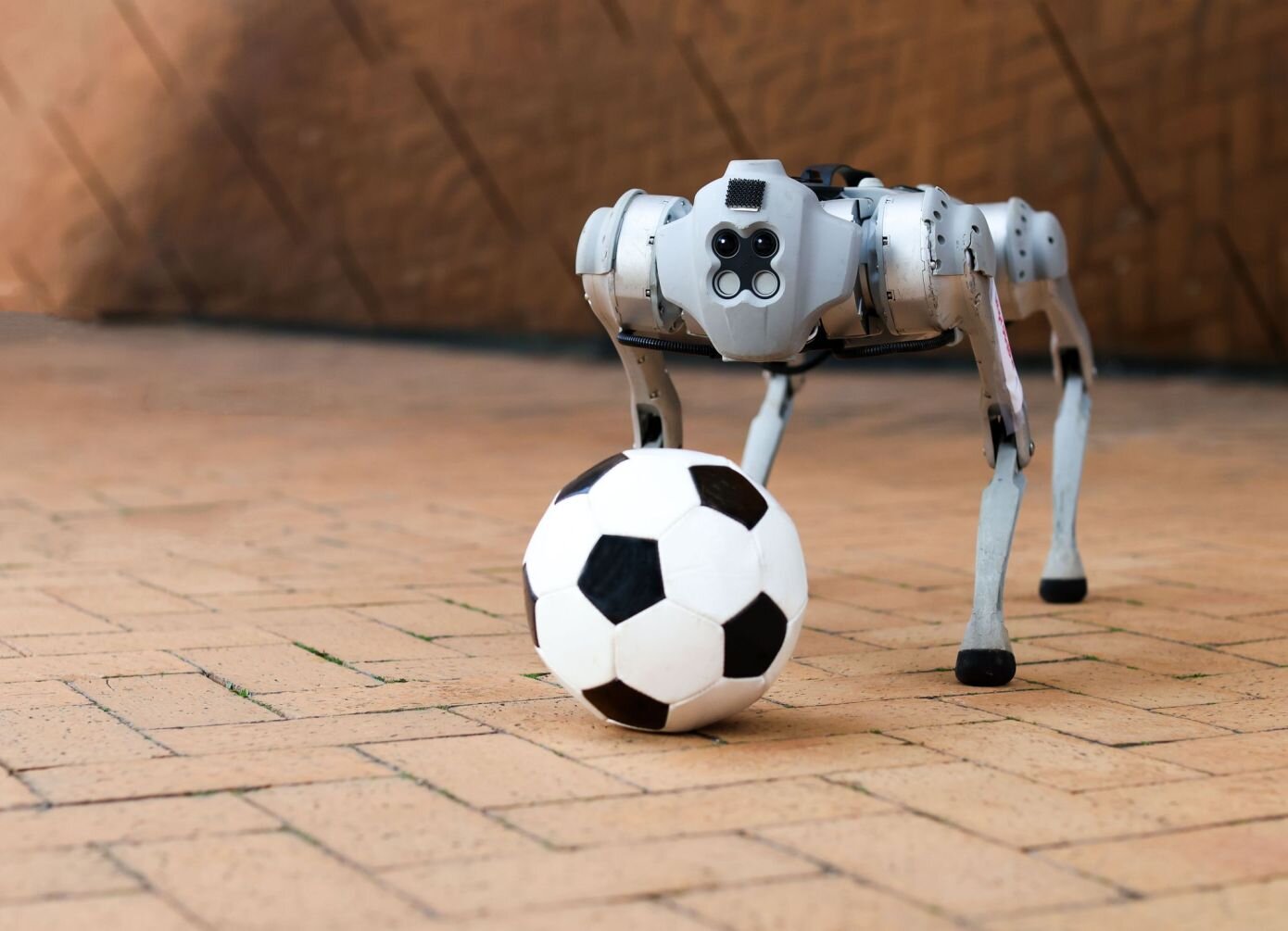 Αυτό το τετράποδο ρομπότ παίζει ποδόσφαιρο στο γρασίδι, στη λάσπη ή στην άμμο
