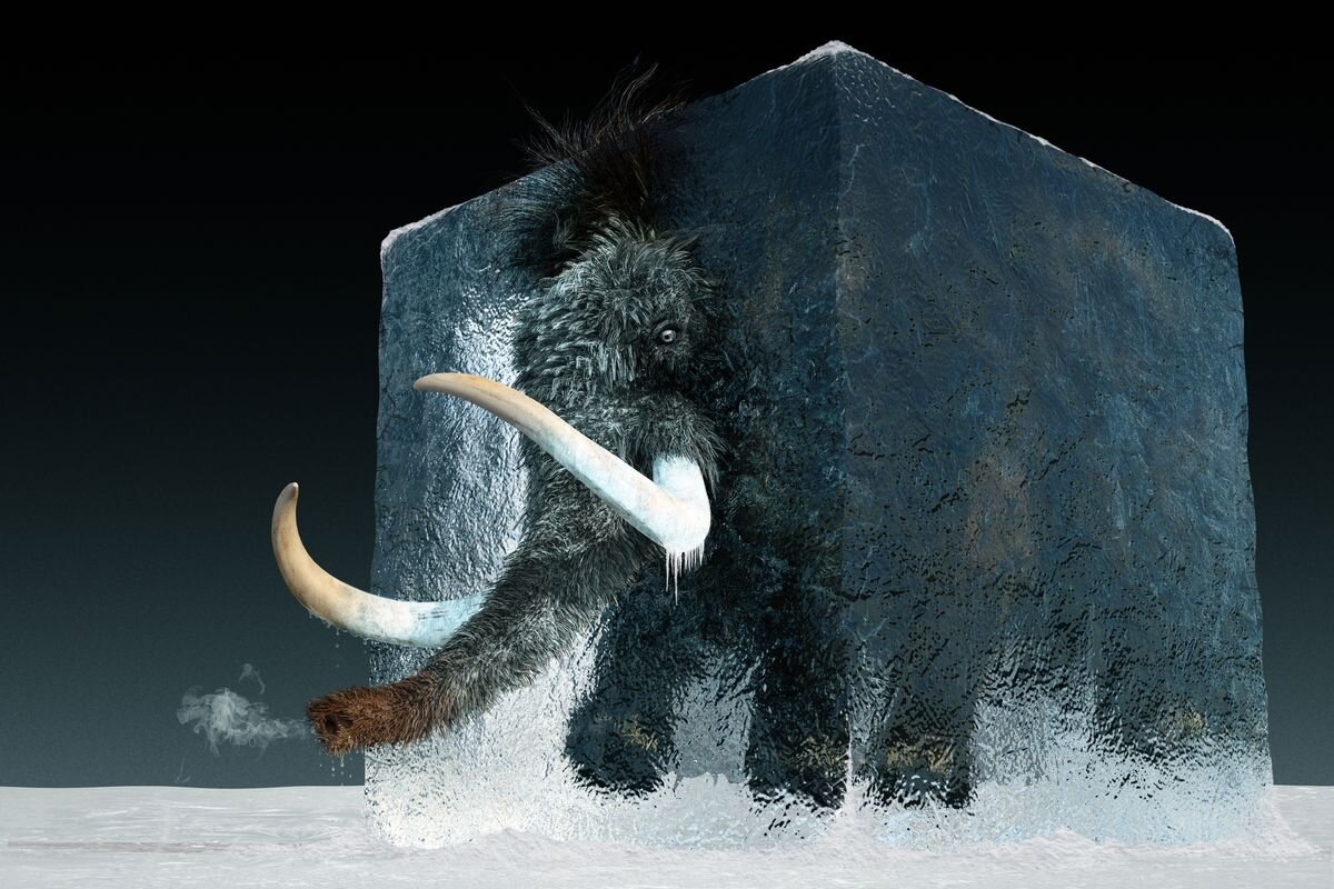 Scientists intend to ‘revive’ the woolly mammoth within the next four years – Science