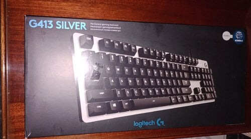 Περισσότερες πληροφορίες για "Logitech G413 Silver Gaming Keyboard"