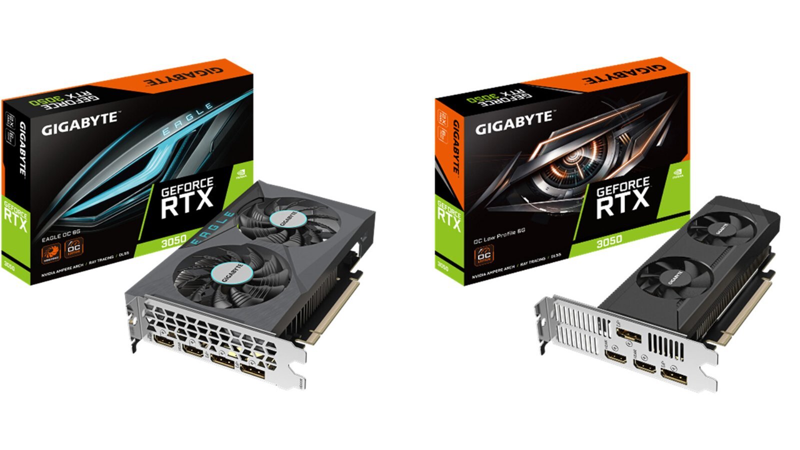 GeForce RTX 3050 EAGLE OC 6G.jpg