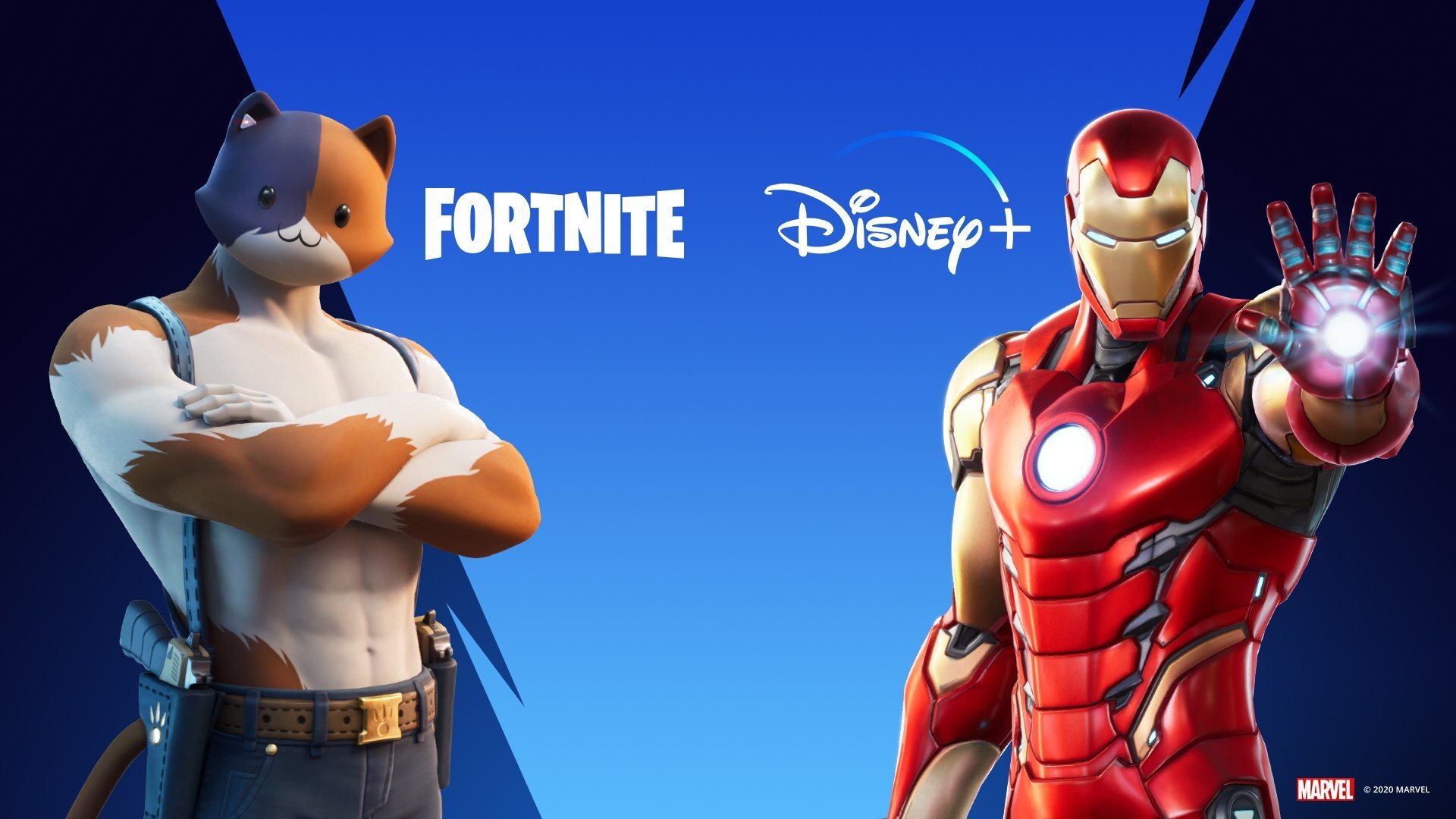 Disney has decided to make an impressive investment in Epic – Disney