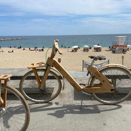 Περισσότερες πληροφορίες για "Ξύλινο Ποδήλατο Cocomat"