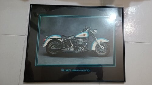 Περισσότερες πληροφορίες για "Κάδρο Harley Davidson collection"