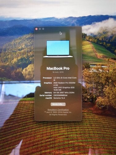 Περισσότερες πληροφορίες για "Macbook pro i9 8core 64gb ram, 1TB, 16inch"