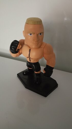 Περισσότερες πληροφορίες για "Jada M203 WWE Brock Lesnar Metals 4 Inch Figure"