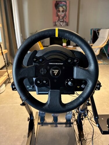 Περισσότερες πληροφορίες για "Thrustmaster TX Racing Wheel Leather Edition + T8HA + Wheelstand + Mods"