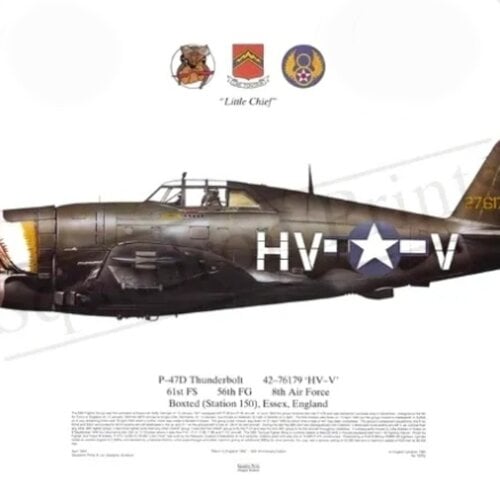 Περισσότερες πληροφορίες για "Πίνακας P-47 Thunderbolt"