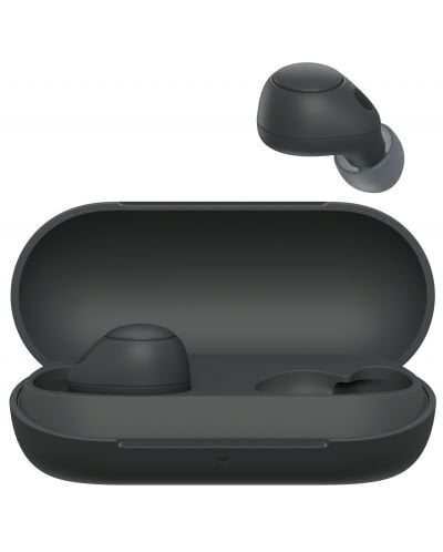 Περισσότερες πληροφορίες για "Sony Truly Wireless WF-C700N Black"