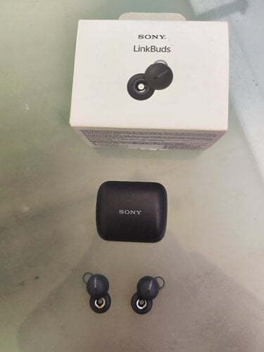 Περισσότερες πληροφορίες για "Bluetooth ακουστικά Sony LinkBuds"