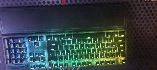 Περισσότερες πληροφορίες για "Razer Blackwidow V3"