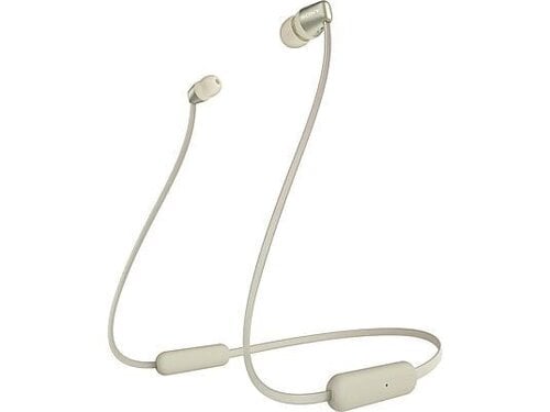 Περισσότερες πληροφορίες για "SONY Neckband WI-310 - Ασύρματα ακουστικά με εγγύηση"