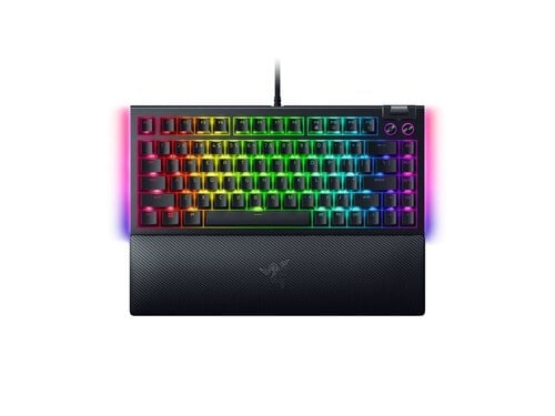 Περισσότερες πληροφορίες για "Razer BlackWidow V4 75%"