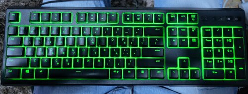 Περισσότερες πληροφορίες για "Razer Ornata Chroma"