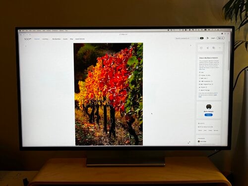 Περισσότερες πληροφορίες για "Dell Ultrasharp U2722D IPS Monitor 27" QHD 2560x1440"