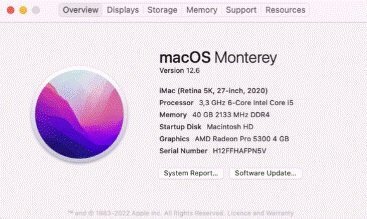 Περισσότερες πληροφορίες για "Apple iMac Retina 5K, 27' 2020 40GB Ram"