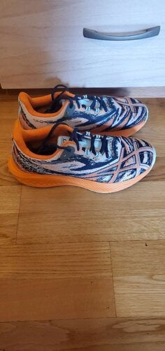 Περισσότερες πληροφορίες για "Asics Noosa Tri 15 running shoes"