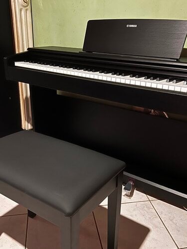 Περισσότερες πληροφορίες για "Yamaha Arius YDP-165 Stage Piano"