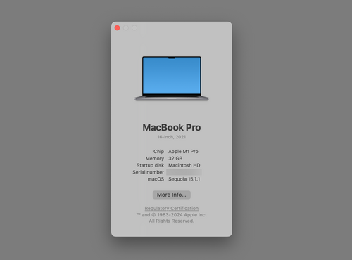 Περισσότερες πληροφορίες για "MacBook Pro 16-inch  (M1 Pro, 32GB RAM, 1TB SSD)"