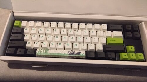 Περισσότερες πληροφορίες για "Ducky x Varmilo MIYA Pro Panda White"