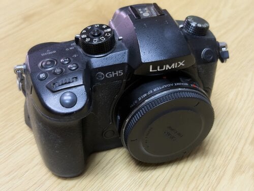 Περισσότερες πληροφορίες για "Panasonic Lumix DC-GH5"