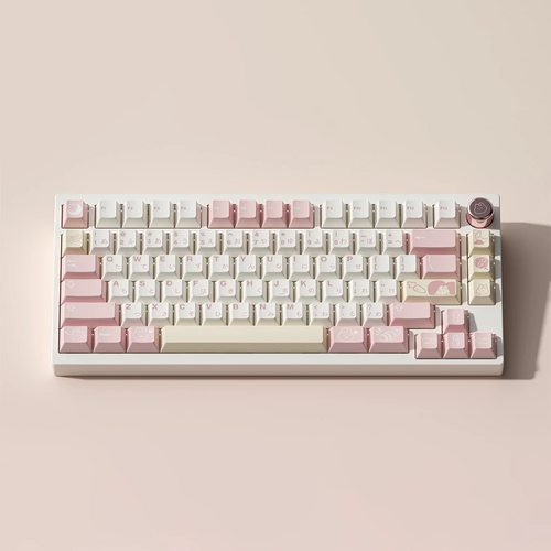 Περισσότερες πληροφορίες για "QK 75 Nice Dream Edition(custom keyboard)"