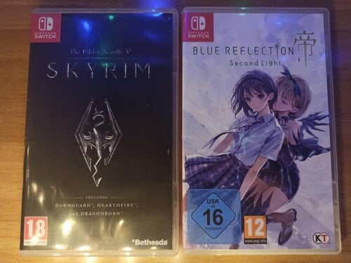 Περισσότερες πληροφορίες για "Skyrim/Blue Reflection 2 Switch"